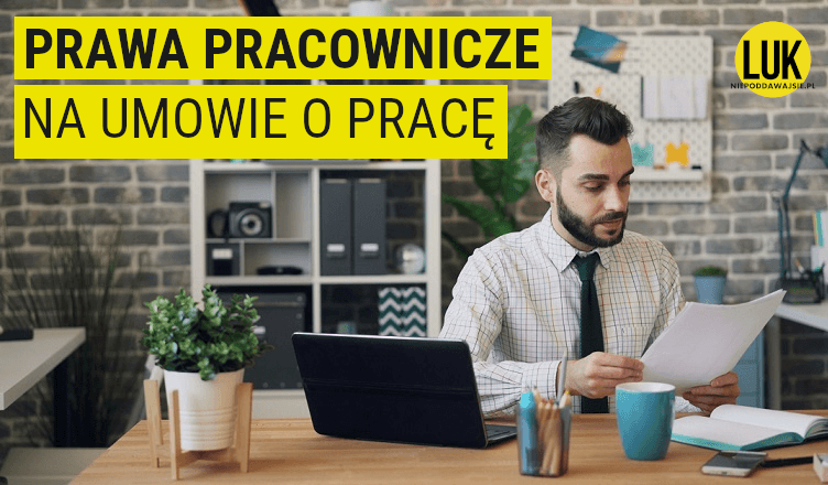 jakie prawa ma pracownik na umowie o pracę